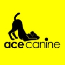 Ace Canine Healthcare