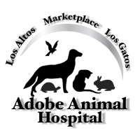 Adobe Animal Hospital
