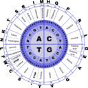 Age Science