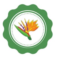 Albuquerque Florist