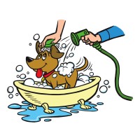 All Paws Pet Wash