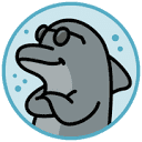 All Everything Dolphin