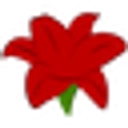 Amaryllis Bulb Co