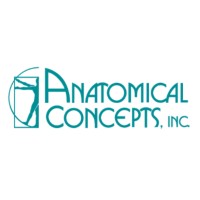 Anatomical Concepts