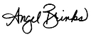 Angel Brinks Fashion
