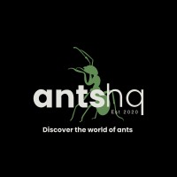 ANTS HQ