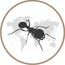 AntsKingdom