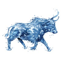 AquaOx Water Filters