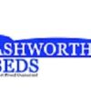 Ashworthsbeds
