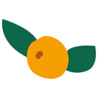 Atelier Apricot