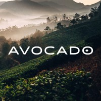 Avocado Green Mattress