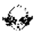 Bald Guy Greetings