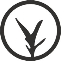 Bambu Earth