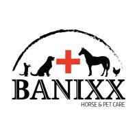Banixx