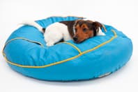 Barka Parka Pet Gear