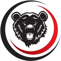 Bear Watch CCTV