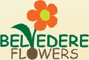 Belvedere Flowers