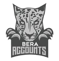 BERAccounts.com