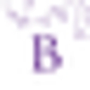Bettersleepcompany