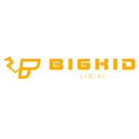 Bigkidgaming