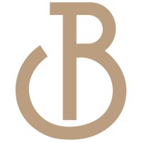 Big Mattress Co.