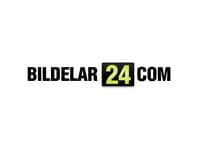Bildelar24