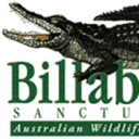 Billabong Sanctuary