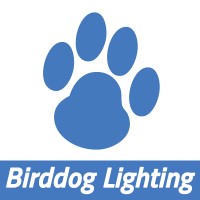 Birddog Lighting
