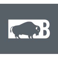 Bison Parts