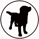 Black Dog Cycles