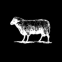 BlackSheepSkateShop