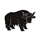 Black Yak