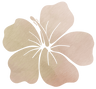 Blooms of Hawaii