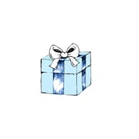 Blue Box Boutique Inc