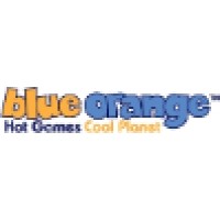 Blue Orange Games