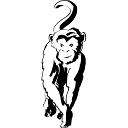 Boldmonkey