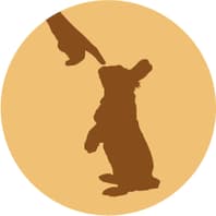Boop! Bunshop