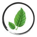 Botanicalremediesllc