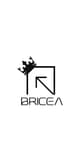 Bricea