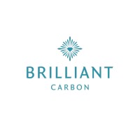 Brilliant Carbon Jewelry