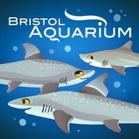 Bristolaquarium
