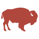 Buck Wild Bison