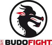 Budo Fight