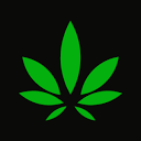 Buy Buds Online