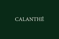 Calanthé Studio