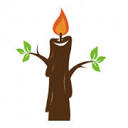 Candleshbvs
