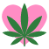 Cannabis Cheri