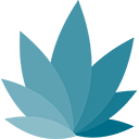 Cannaconnection
