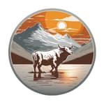 Carnivore Company