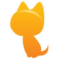 Cat Amazing
